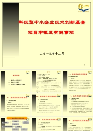 XXXX年国家创新基金项目申报的有关要求及程序-海创园