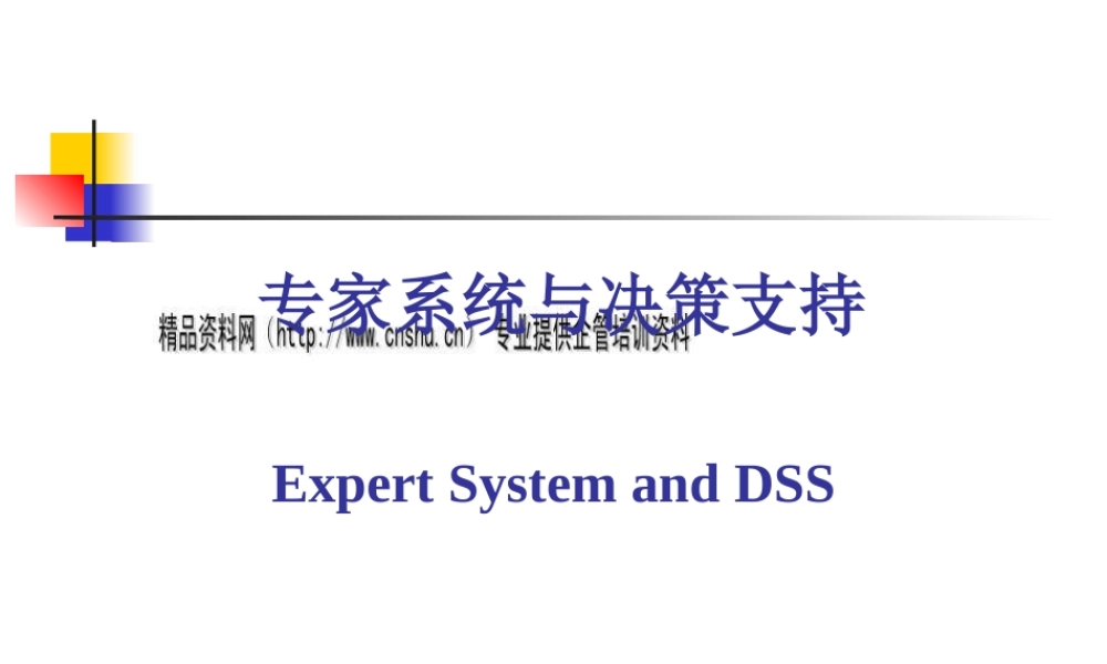专家系统与决策支持