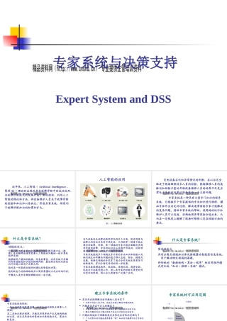 专家系统与决策支持