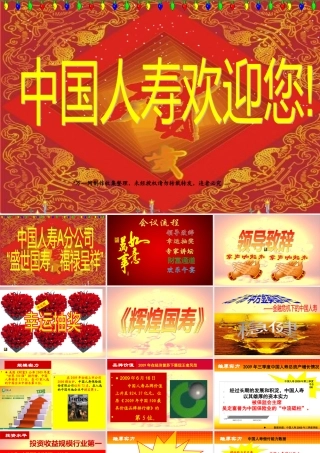 XXXX年国寿最新高端客户答谢会主持流程47