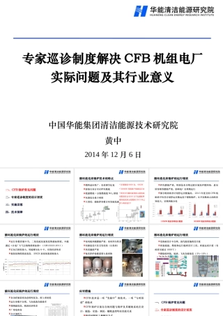 专家巡诊制度解决CFB机组电厂实际问题及其行业意义