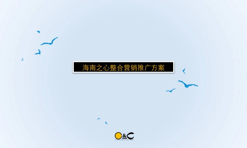 XXXX年海口新埠岛别墅项目整合推广方案