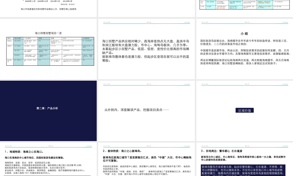 XXXX年海口新埠岛别墅项目整合推广方案