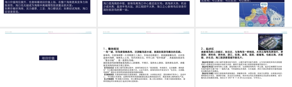 XXXX年海口新埠岛别墅项目整合推广方案