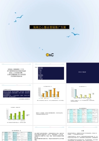 XXXX年海口新埠岛别墅项目整合推广方案