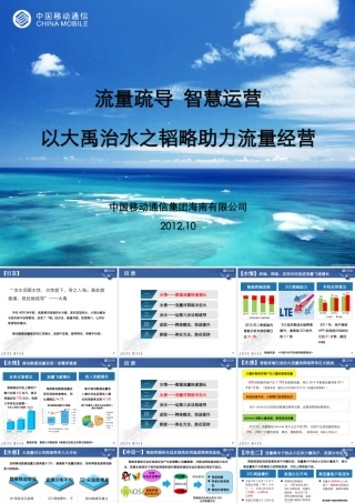 XXXX年海南移动深度运营案例