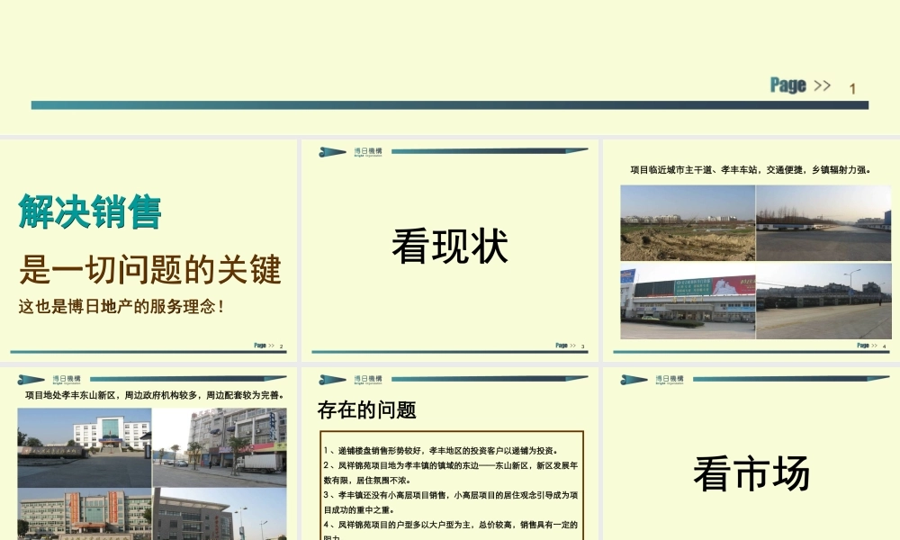 XXXX年杭州凤祥锦苑项目初步提案