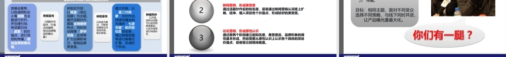 XXXX年杭州金地天逸项目网络公关方案