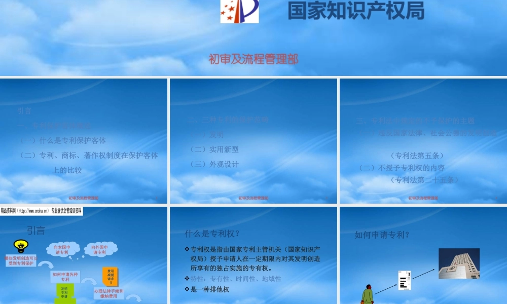 专利保护的管理对象