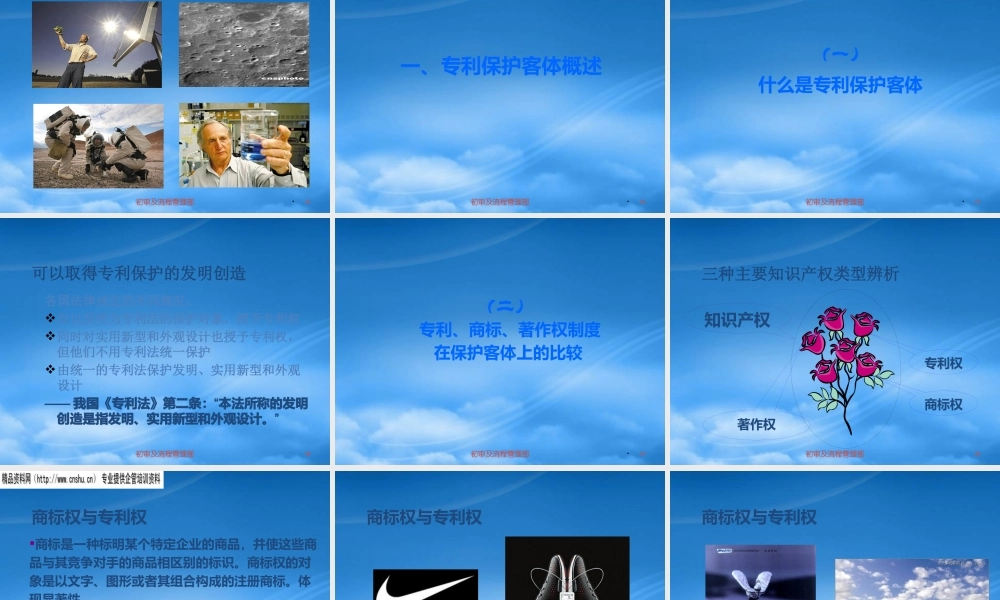 专利保护的管理对象