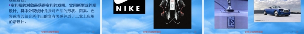 专利保护的管理对象