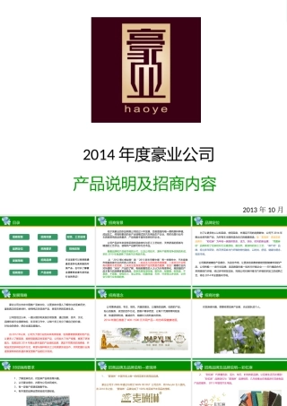 XXXX年豪业公司招商方案内容及产品介绍