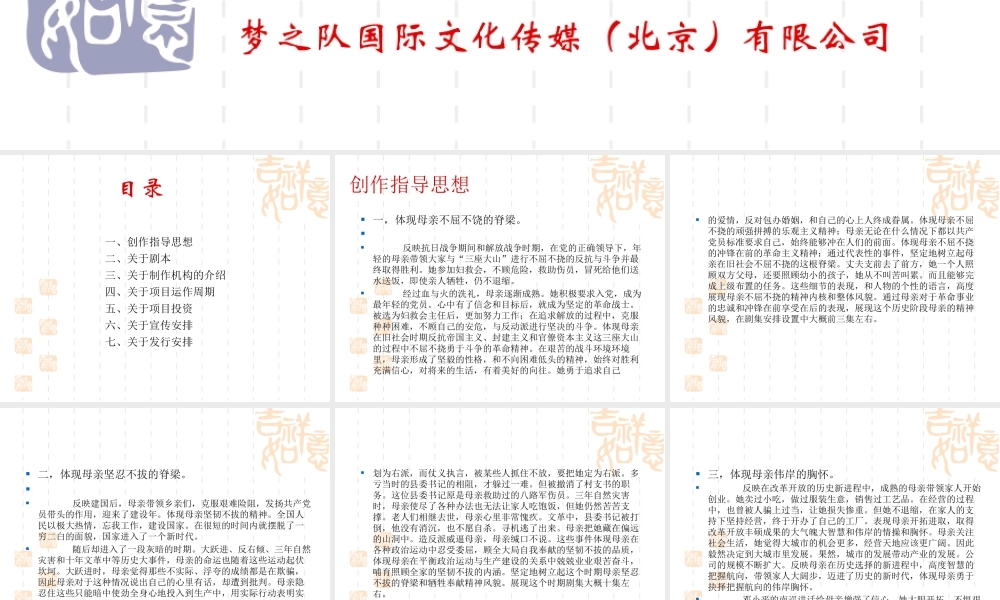 《情系康乃馨》电视剧策划案