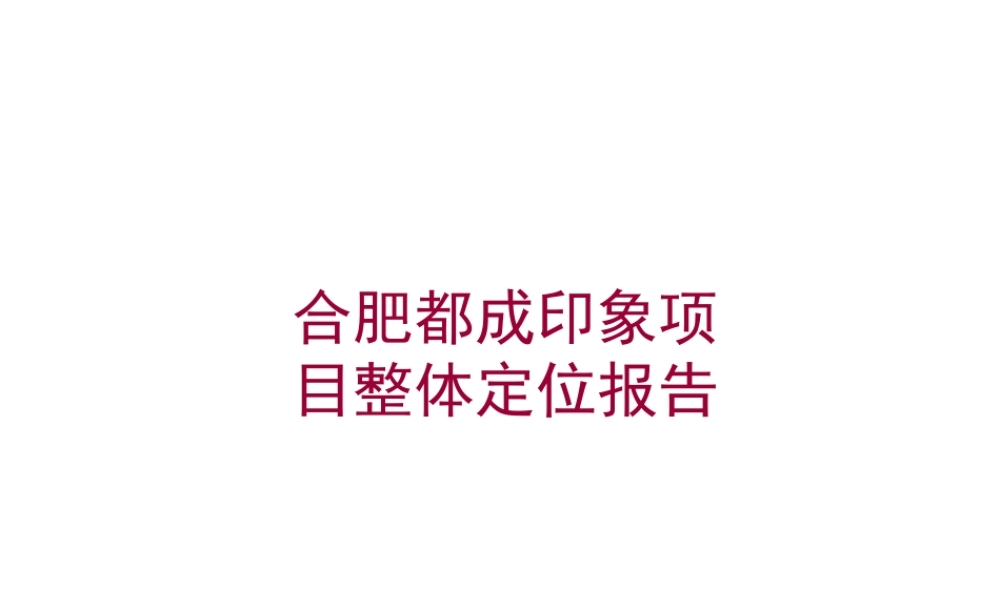 XXXX年合肥都成印象项目整体定位报告129