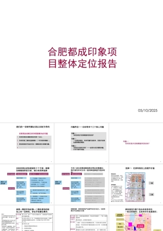 XXXX年合肥都成印象项目整体定位报告129