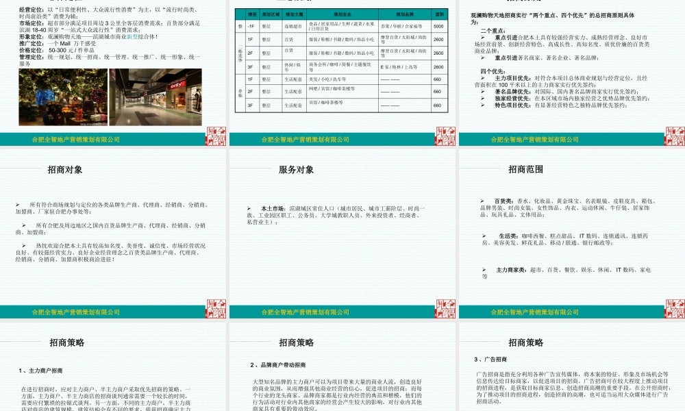 XXXX年合肥观澜华庭群商招商定位方案(初稿)