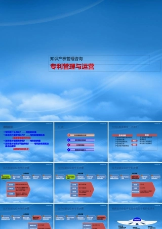 专利管理与运营