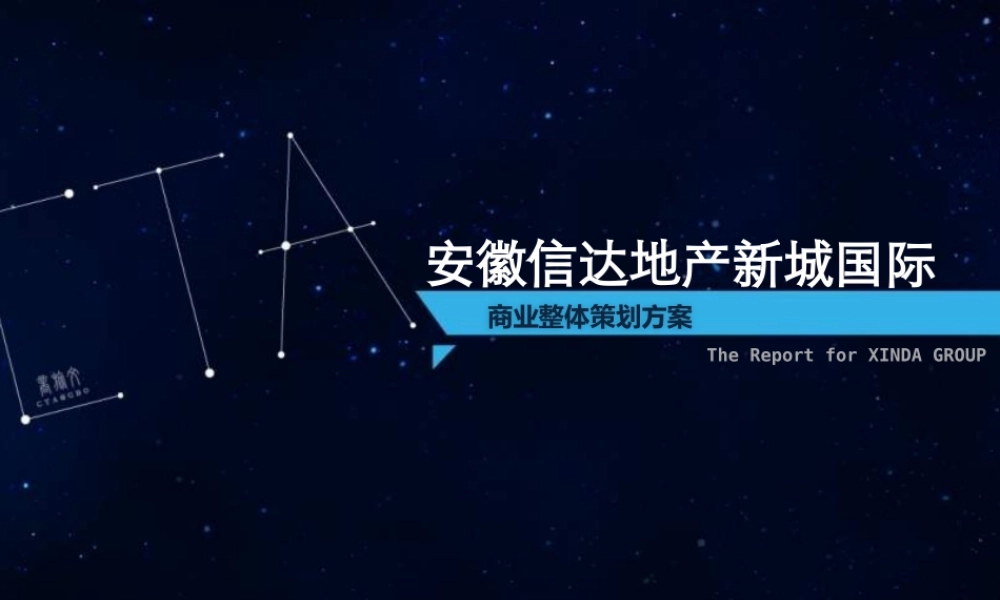 XXXX年合肥新城国际商业整体策划方案