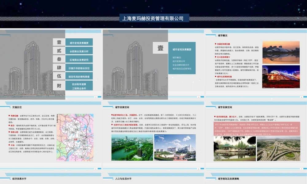 XXXX年合肥新城国际商业整体策划方案