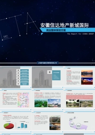XXXX年合肥新城国际商业整体策划方案