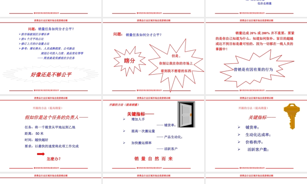 《区域市场自我营销诊断》