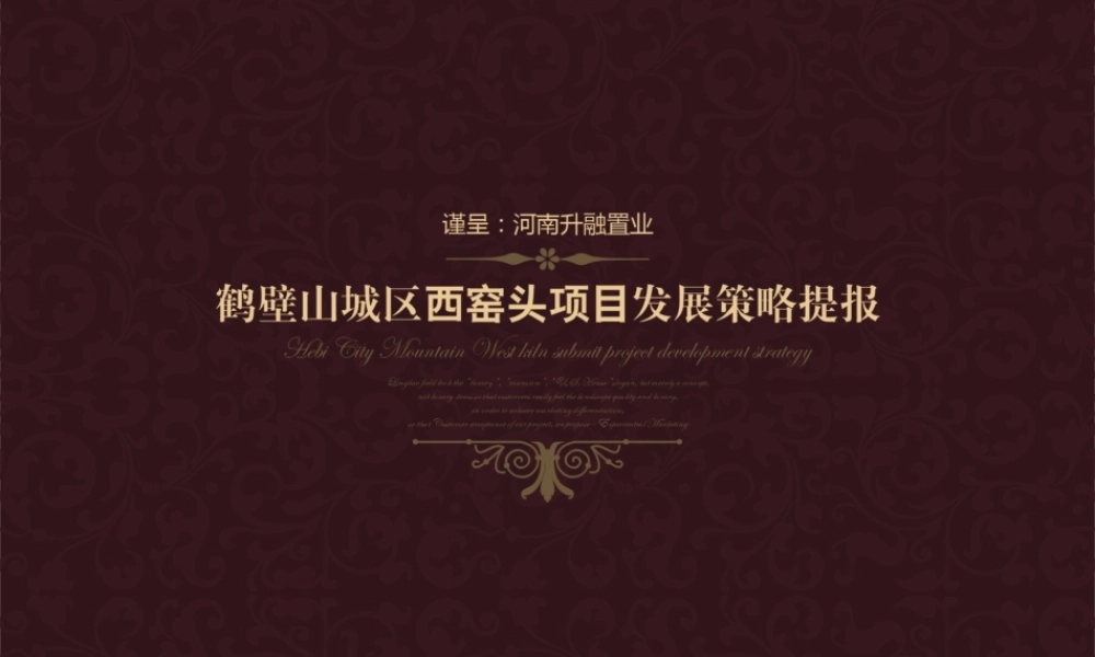 XXXX年鹤壁山城区西窑头项目发展策略提报