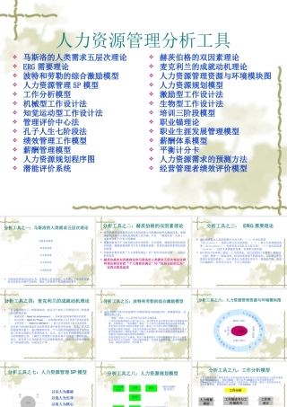 《人力资源管理分析工具(ppt33)》