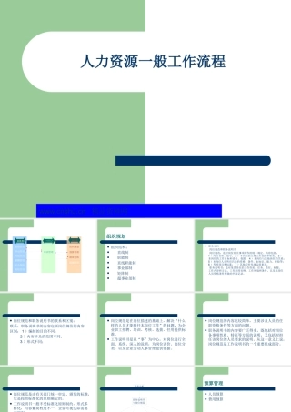 《人力资源一般工作流程(ppt31)》