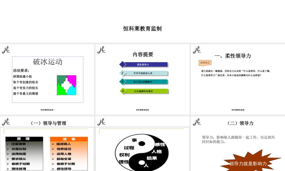 《柔性领导力-企业简版》
