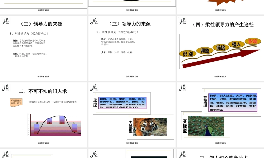《柔性领导力-企业简版》