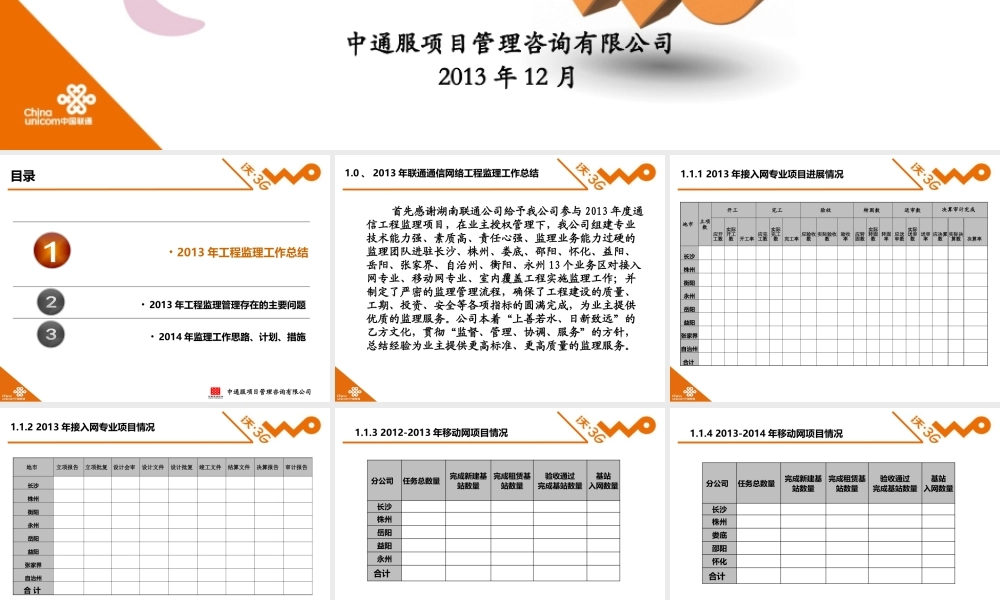 XXXX年湖南联通监理工作总结