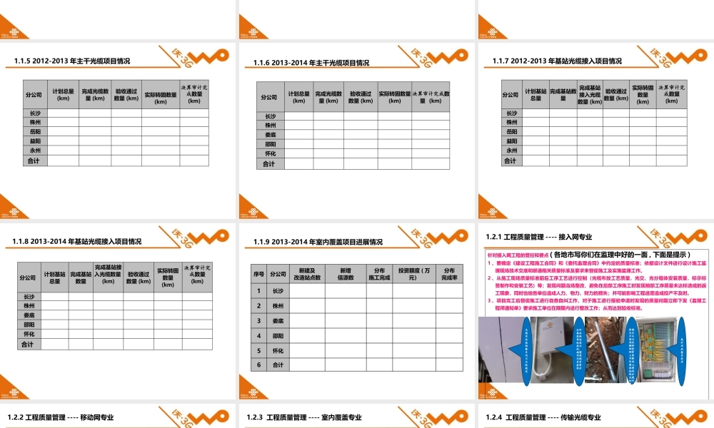 XXXX年湖南联通监理工作总结