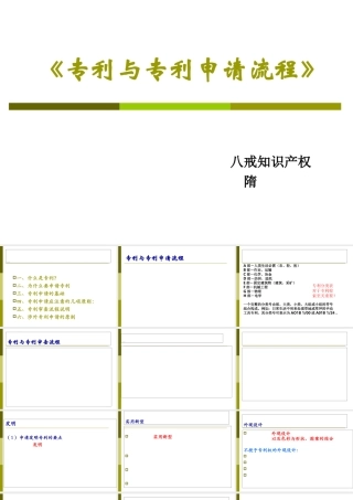 专利申请与专利申请流程(PPT42页)
