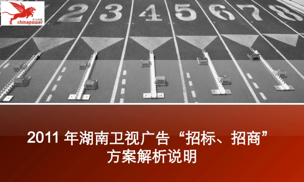 XXXX年湖南卫视广告招标、招商方案说明