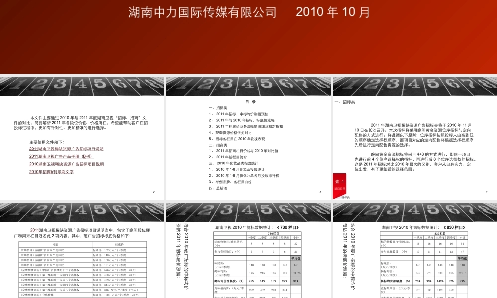 XXXX年湖南卫视广告招标、招商方案说明