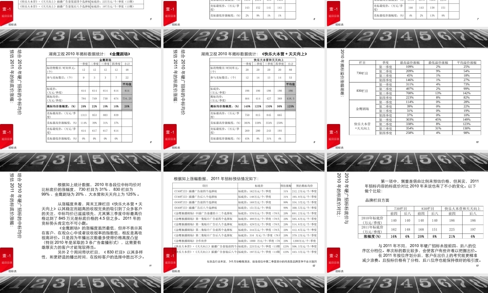 XXXX年湖南卫视广告招标、招商方案说明