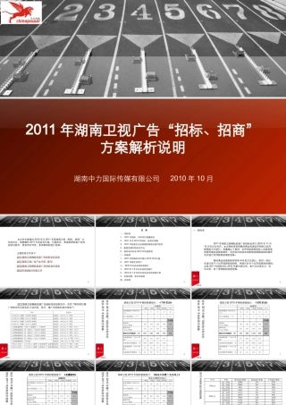 XXXX年湖南卫视广告招标、招商方案说明