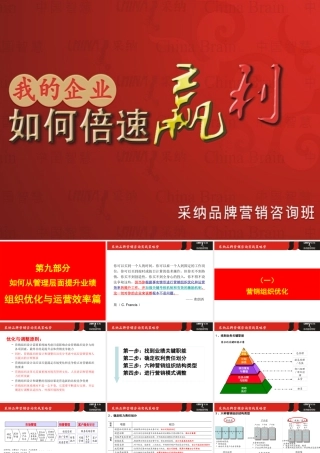 《如何从管理层面提升业绩-组织优化与运营效率篇》-