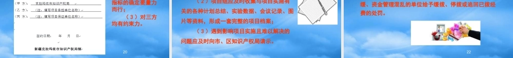 专利实施项目管理及企业专利管理体系建设