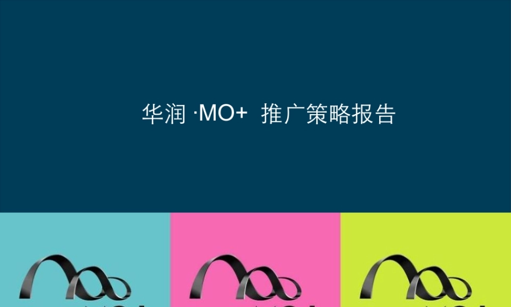 XXXX年华润武汉华润MO推广策略报