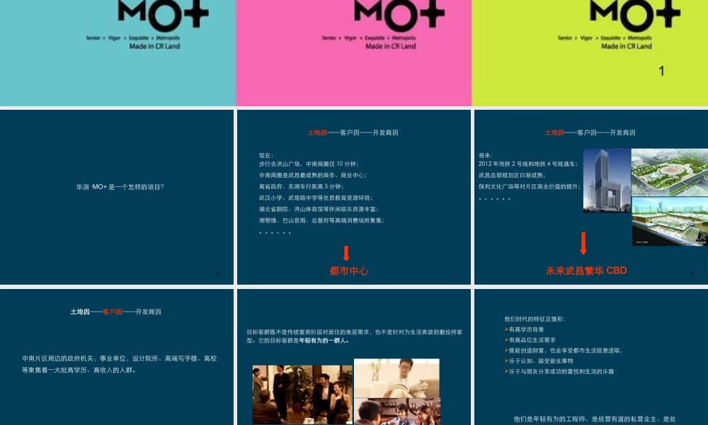 XXXX年华润武汉华润MO推广策略报