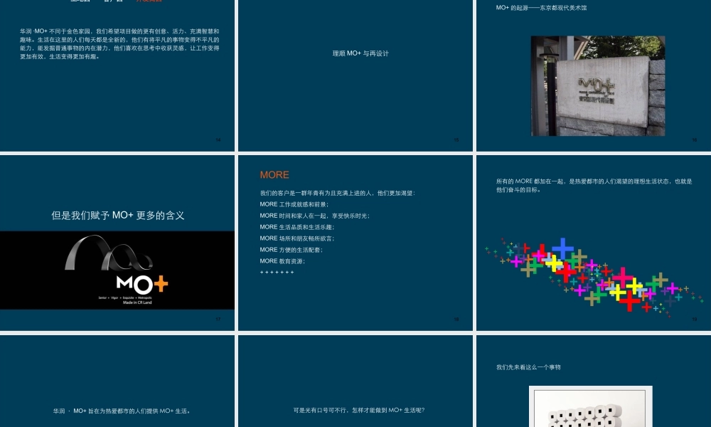 XXXX年华润武汉华润MO推广策略报