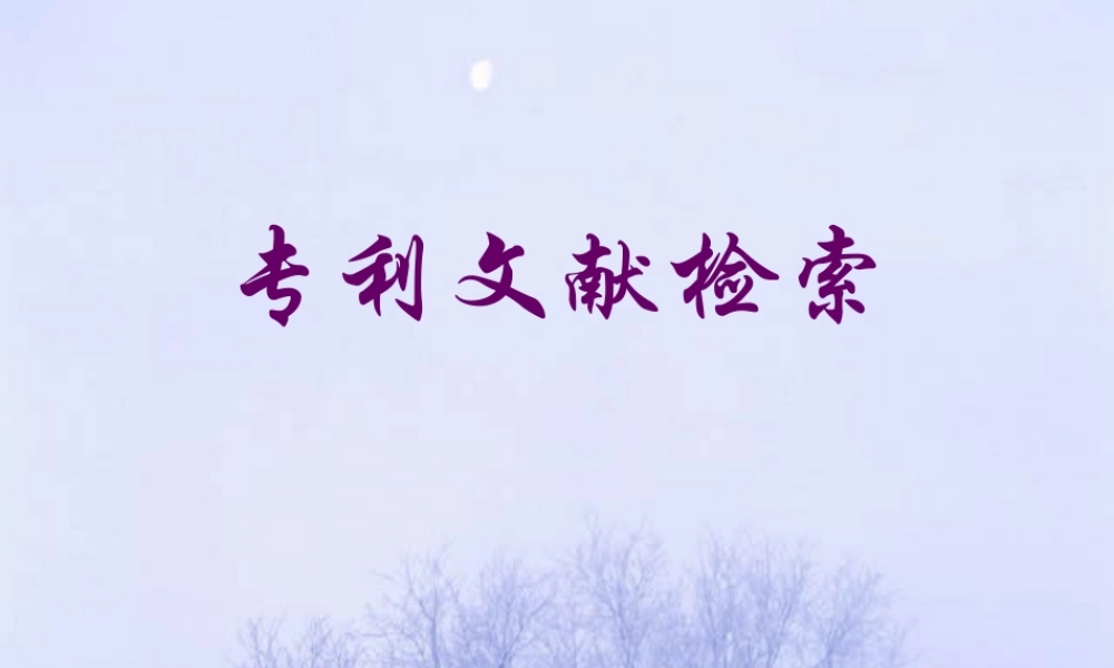 专利文献全面检索