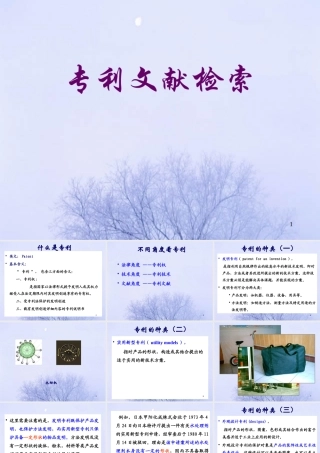 专利文献全面检索