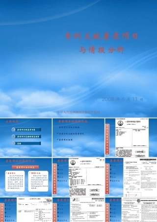 专利文献著录项目