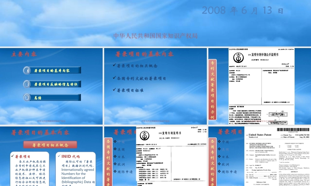 专利文献著录项目及情报分析(ppt 56) 