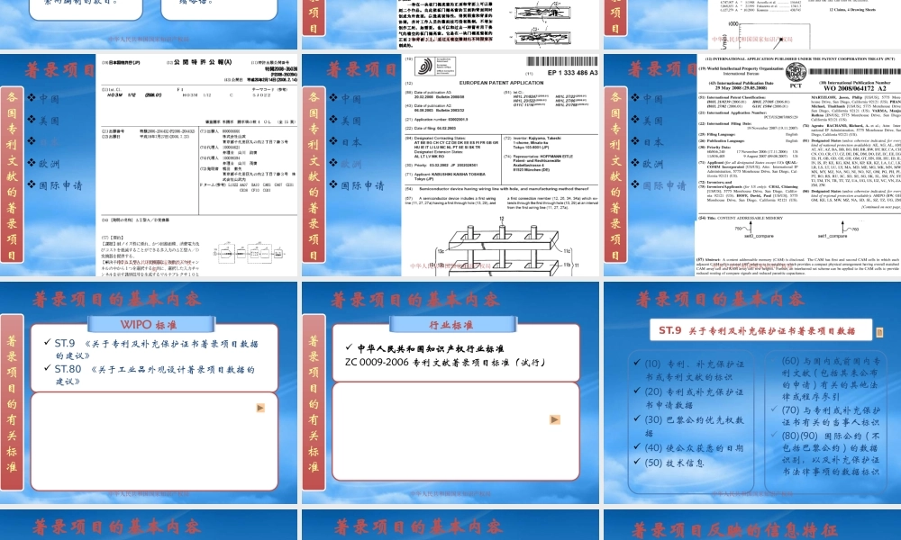 专利文献著录项目及情报分析(ppt 56) 