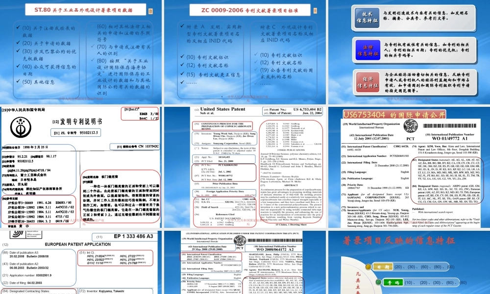 专利文献著录项目及情报分析(ppt 56) 