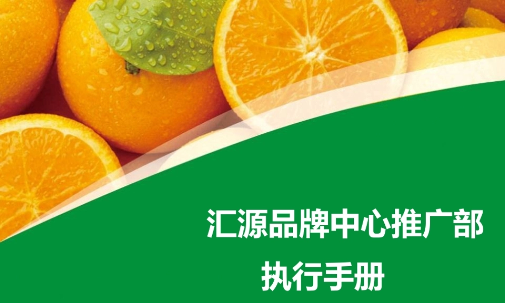 XXXX年汇源品牌中心推广部执行手册