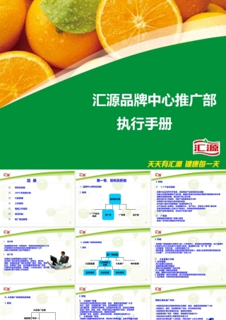 XXXX年汇源品牌中心推广部执行手册